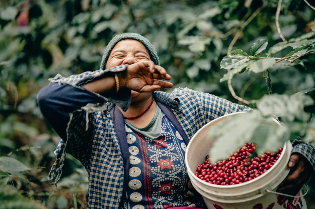 ネパール農園のおばさんの画像